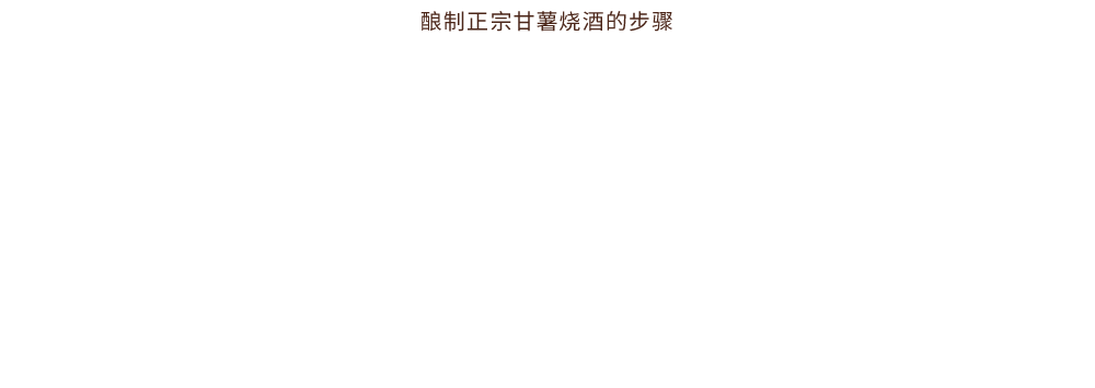 酿制正宗甘薯烧酒的步骤